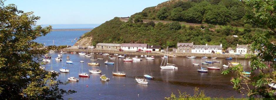 Rosebud Cottage Romantic Cottage For A Couple Fishguard Luaran gambar